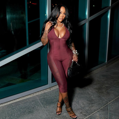 Mesh splicing low cut hanging neck see through jumpsuit