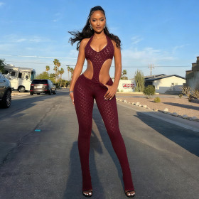Perspective knitted deep V-jumpsuit
