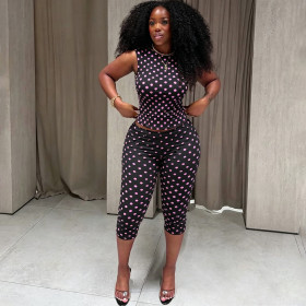 Polden sleeveless backless top and cropped pants set