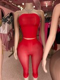 2-piece set of bright high elasticity see through shorts