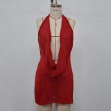 Flashing backless hanging neck cover shirt, hip hugging skirt
