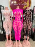 Fun hollow perspective mesh high stretch dress