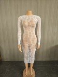 Fun hollow perspective mesh high stretch dress