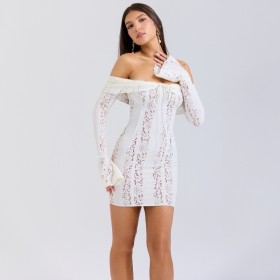 Strapless, high waisted, long sleeved, hip hugging, short skirt, one shoulder lace dress