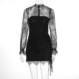 Long sleeved lace see through hip hugging dress