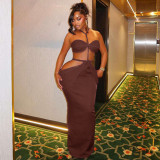 Chest hugging vacation hip hugging skirt, neck hanging sleeveless backless long dress JD305768
