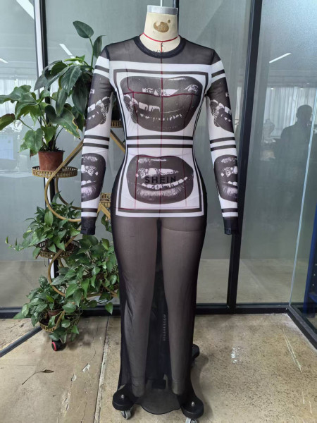 Mesh printed street long sleeved dress TXY5097