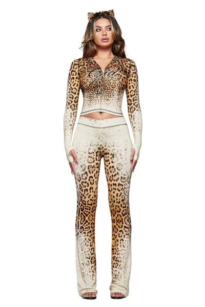 Zipper hooded top and pants set FC1601
