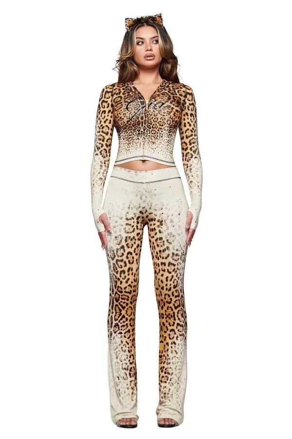 Zipper hooded top and pants set FC1601