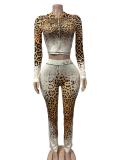 Zipper hooded top and pants set FC1601