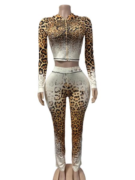 Zipper hooded top and pants set FC1601