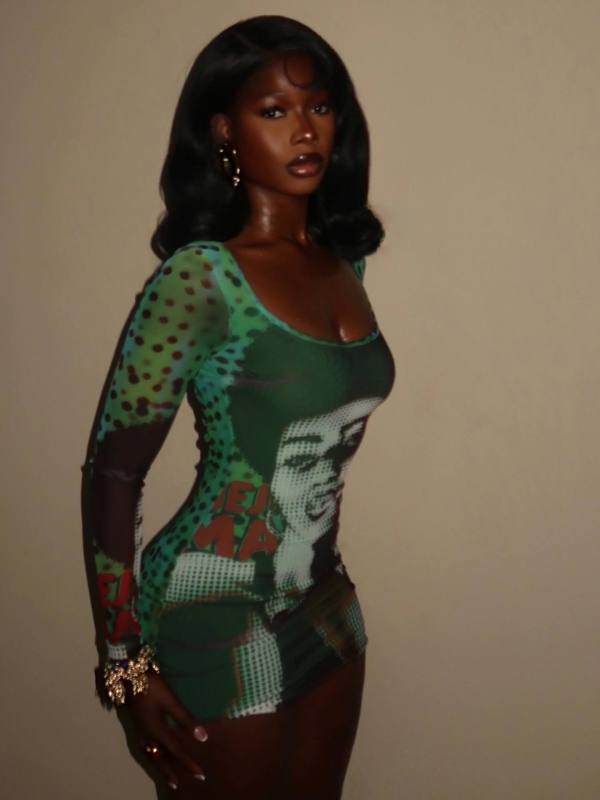 Mesh printed long sleeved hip hugging dress A1058706988534