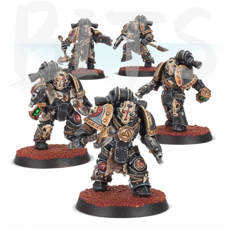 Space Wolves - Deathsworn Pack bits
