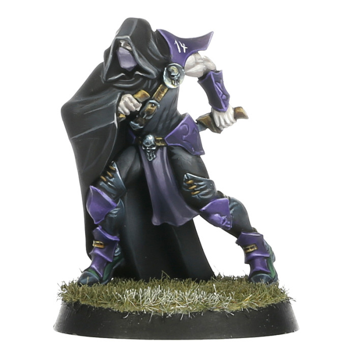 Dark Elf Assassins