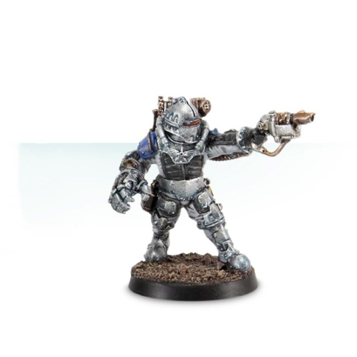 Solar Auxilia Veletaris Storm Section