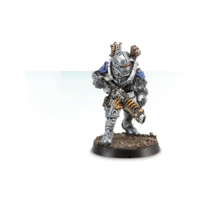 Solar Auxilia Veletaris Storm Section