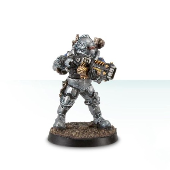 Solar Auxilia Veletaris Storm Section