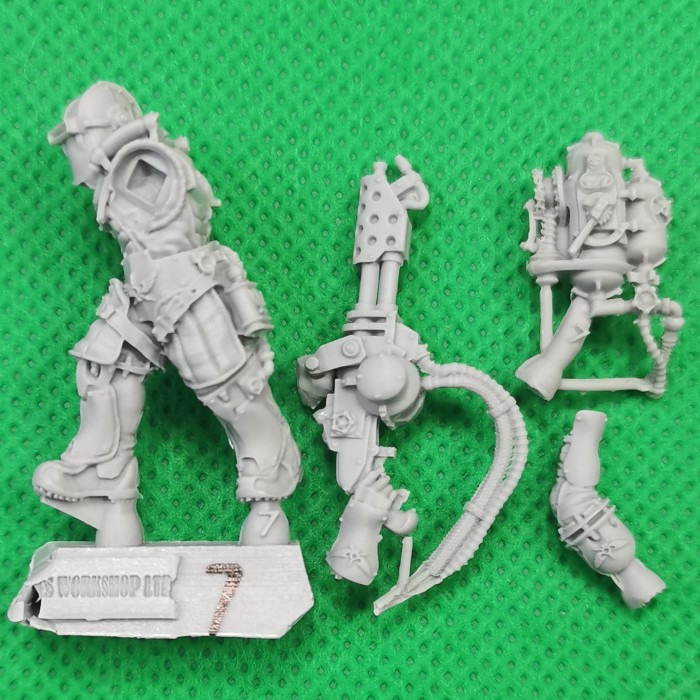 Solar Auxilia Flamer Section