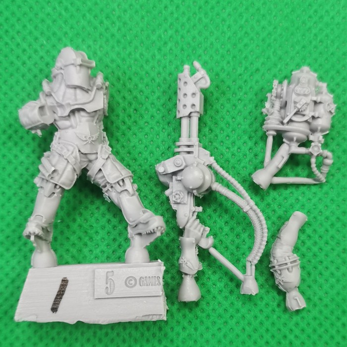Solar Auxilia Flamer Section