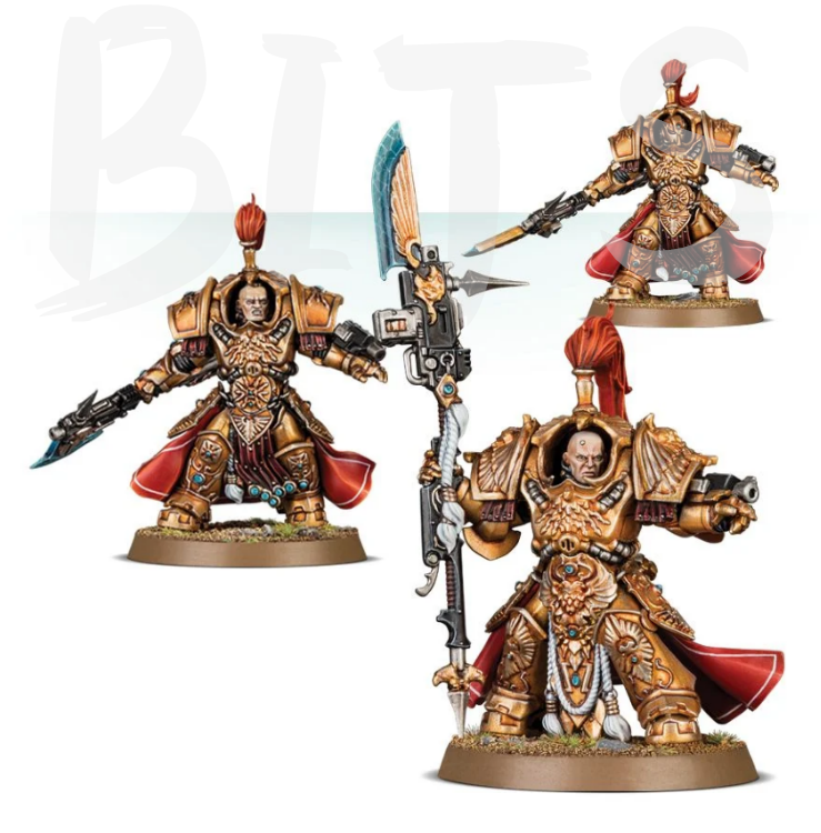 Adeptus Custodes Vexilus Praetor in Allarus Terminator Armour / Shield-Captain in Allarus Terminator Armour/Allarus Custodians bits