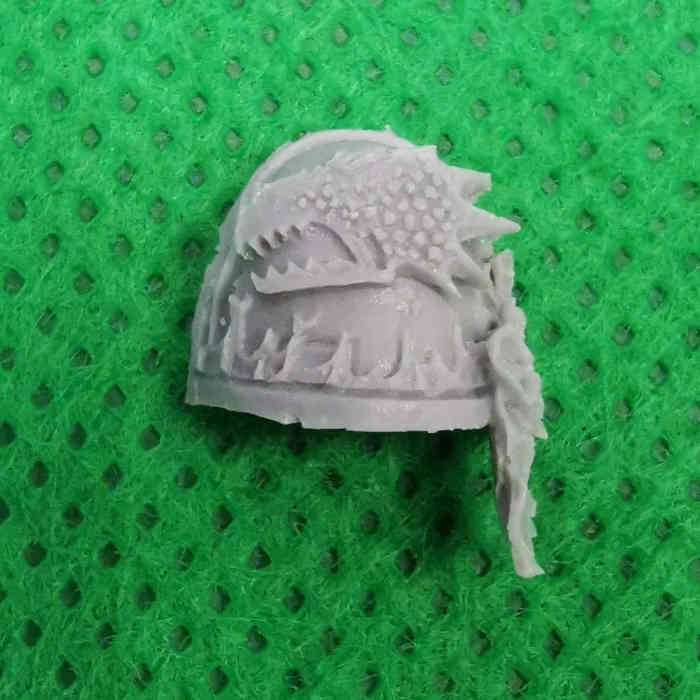 Salamanders Marine Shoulder Pads