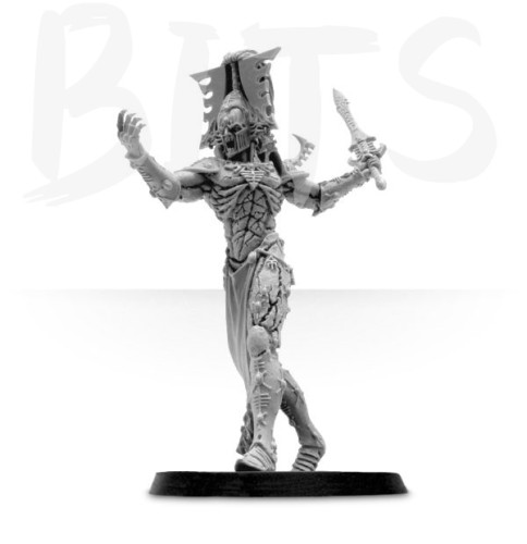 Eldar Avatar bits