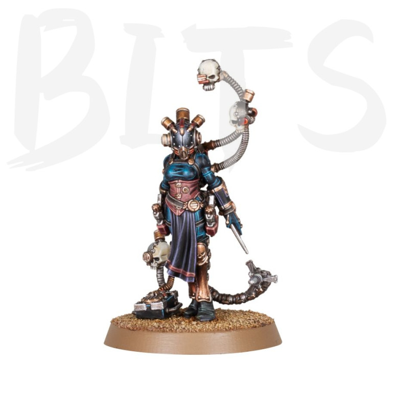 Clade Vanus Infocyte Assassin bits