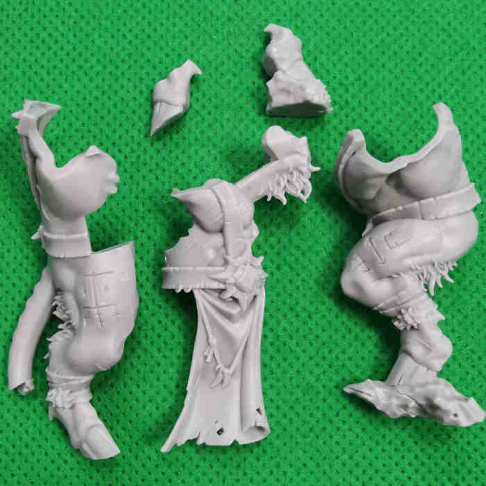 Ogroid Myrmidon Champion