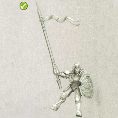 Stormdrake Guard / Knight-Draconis