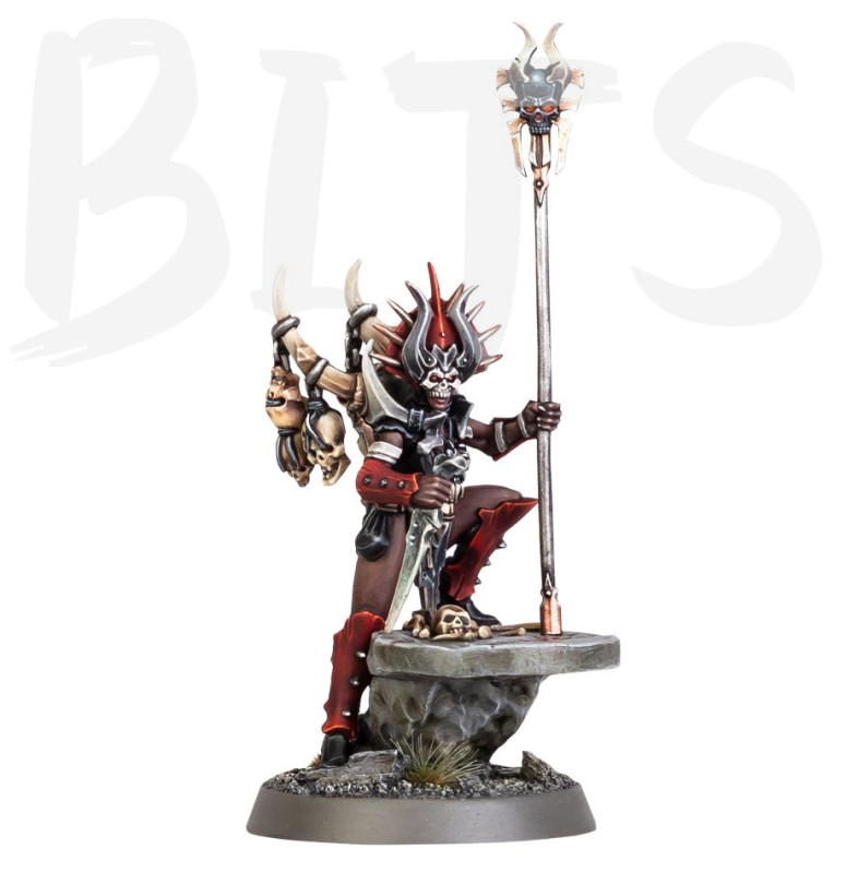 Realmgore Ritualist bits