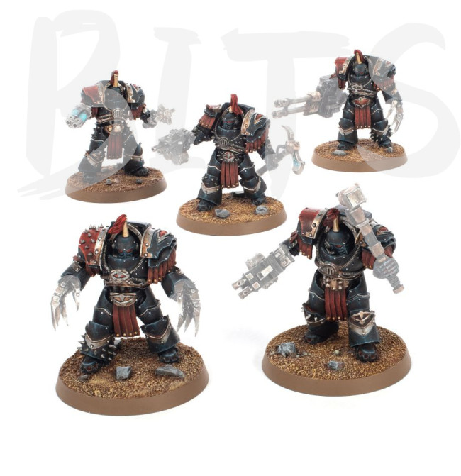 Sons of Horus Justaerin Terminators bits