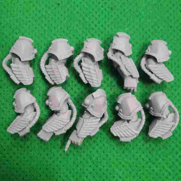Emperor's Children Phoenix Terminators