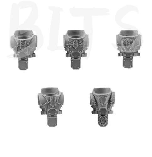 Imperial Fists Legion Upgrade Set - Torsos bits