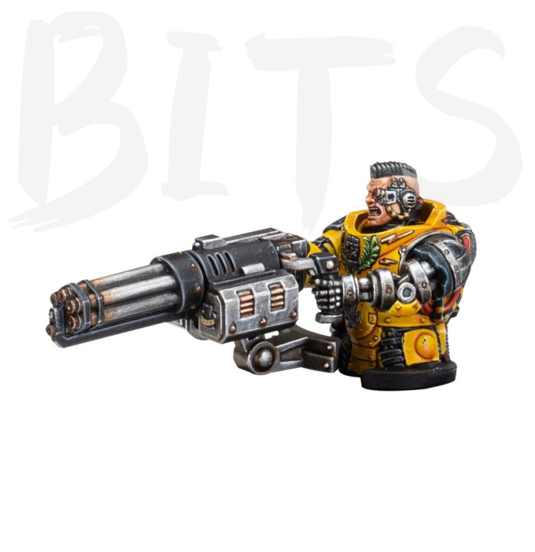 Imperial Fists: Decurion Sagittar bits