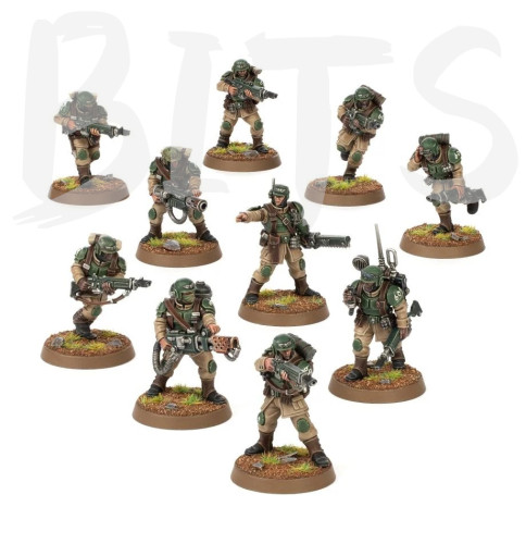 Cadian Shock Troops bits
