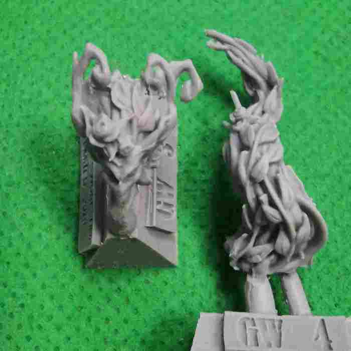 Blood Bowl Willow Rosebark