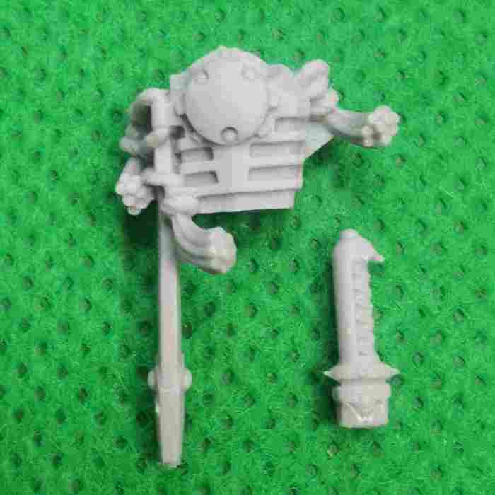Clade Adamus Assassin