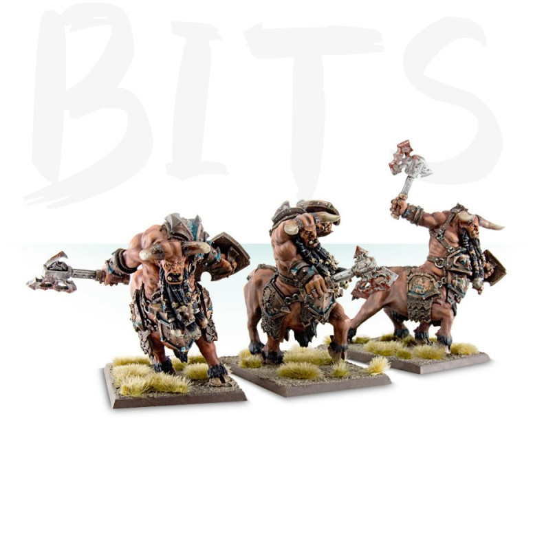 Chaos Dwarf Bull Centaur Renders bits