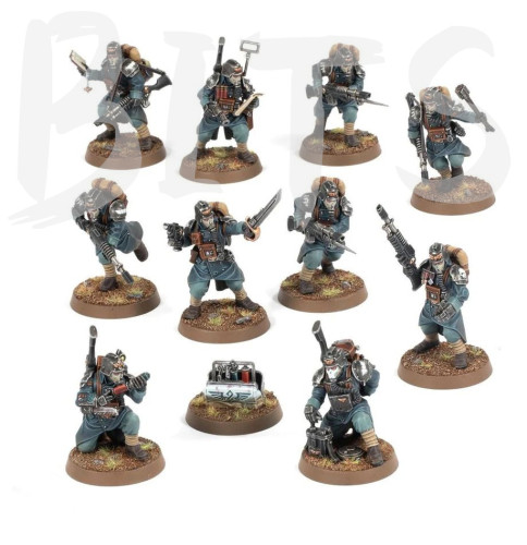 Kill Team: Veteran Guardsmen bits