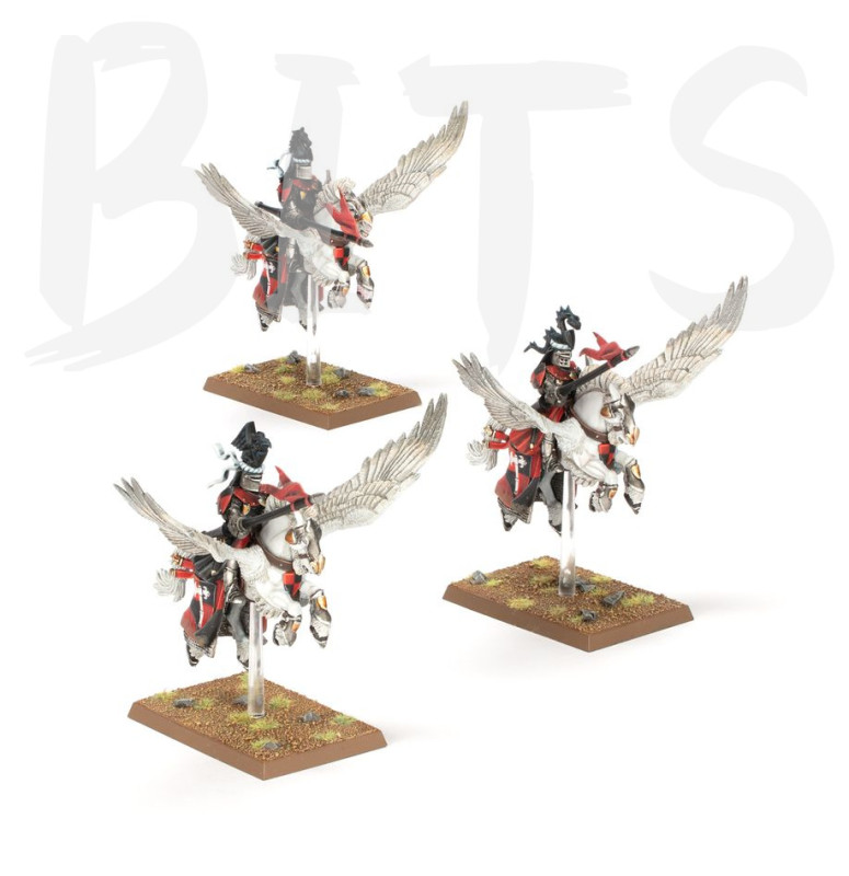 Pegasus Knights bits