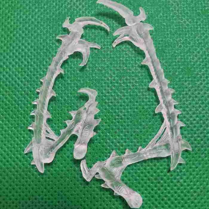 Tyranids Deathleaper(Clear Material)
