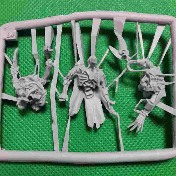 Necrons Flayed Ones