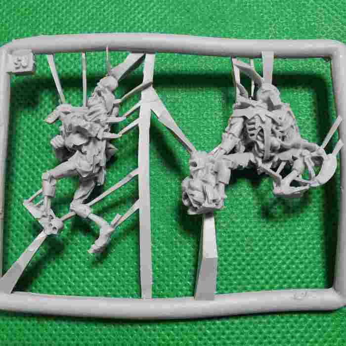 Necrons Flayed Ones