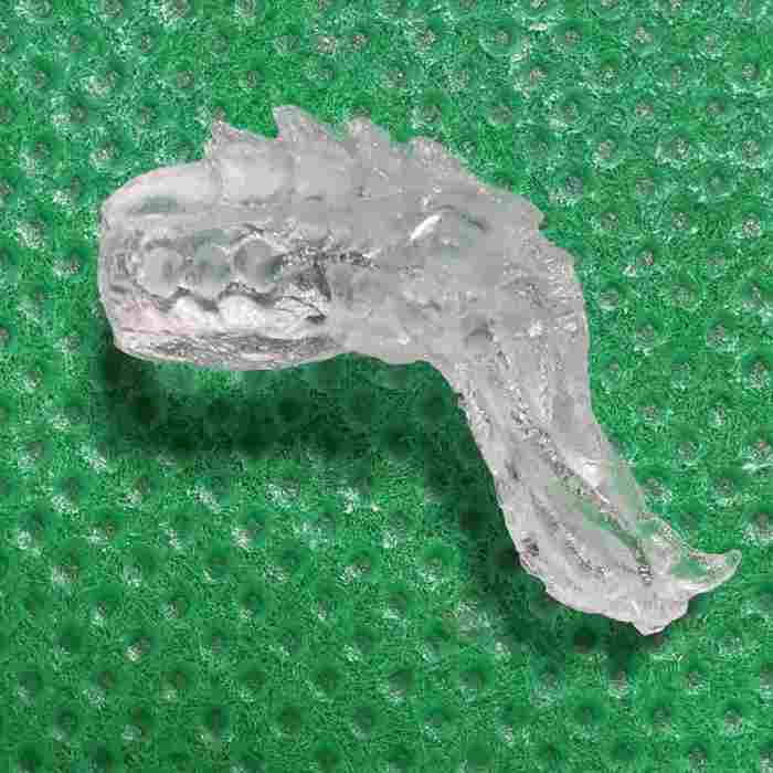 Tyranids lictor (Clear Material)