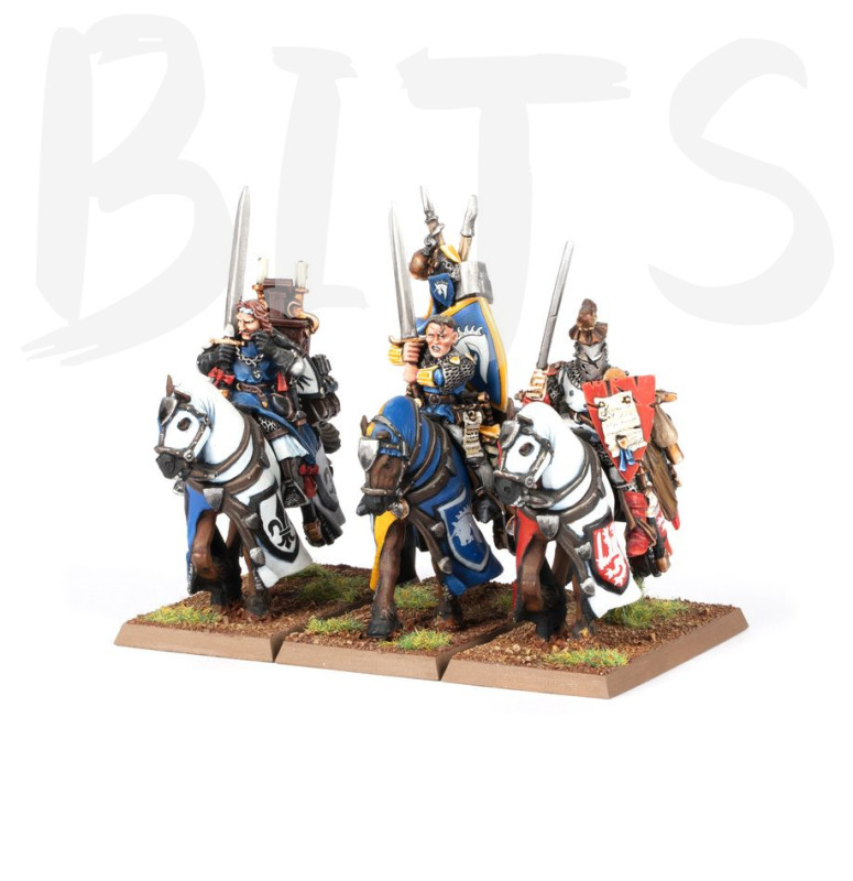 Bretonnian Questing Knights bits