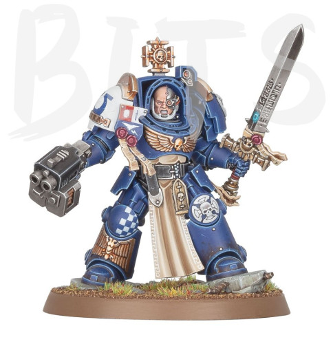 Captain in Terminator Armour bits