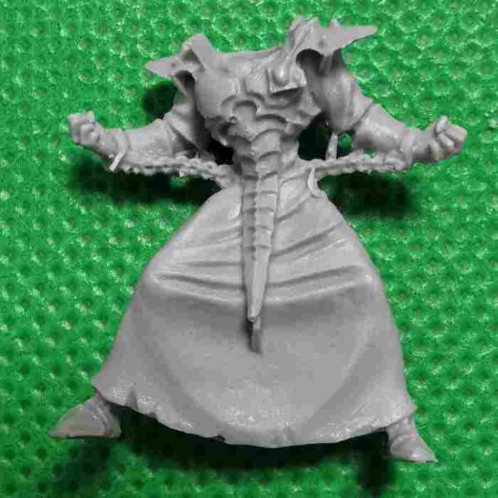 Medusae