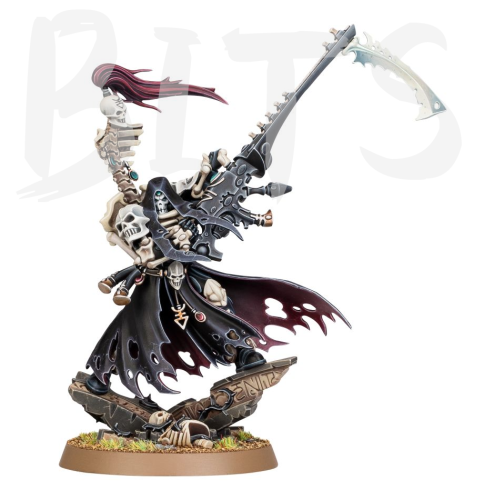 Dark Eldar Maugan Ra bits