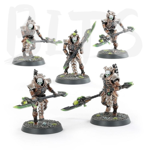 Necrons Lychguard / Triarch Praetorians bits
