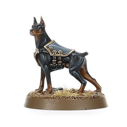 Kill Team: Elucidian Starstriders bits